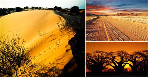 Kalahari Desert Namibia And Botswana
