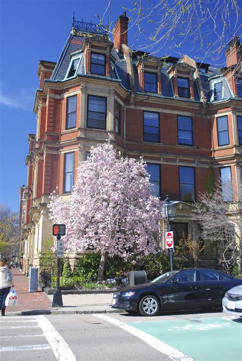 commonwealth-avenue,-back-bay,-boston-brownstone-homes,-boston-apartment,-back-bay