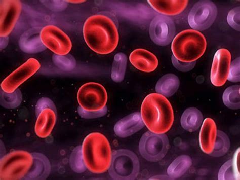 Leukemia And Blood Cancer Symptoms What They Are And How To Recognize