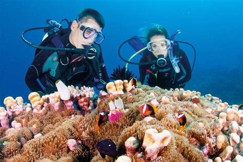 10 Ways To Experience The Great Barrier Reef Queensland Blog