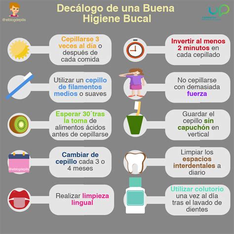 Sencilla Infografía De Nuestras Compis Sobre Salud Bucodental