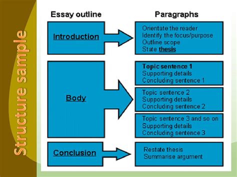The Essay Structure Xoxo Therapy