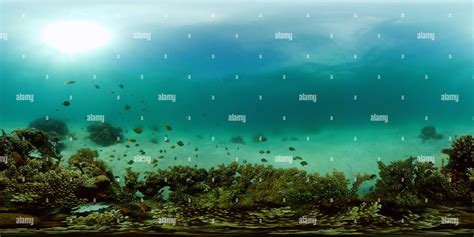 360° View Of Colourful Underwater Seascape Alamy