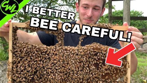 We Better Bee Careful Youtube