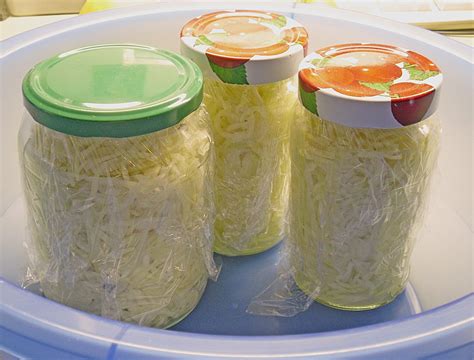 Sauerkraut in einem Glas selbst gemacht Rezept mit Bild