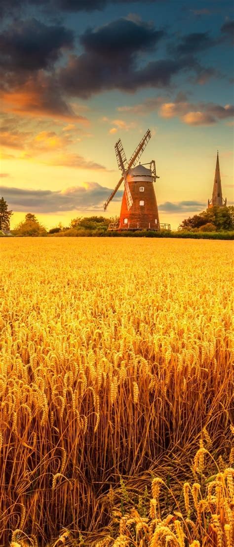 1080x2520 Resolution Windmill On Wheat Field At Sunset 1080x2520