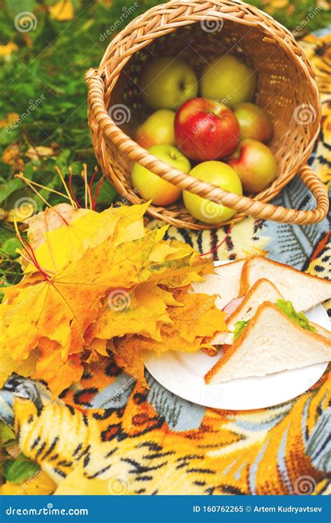 Picnic With Sandwiches And A Basket Of Apples In The Autumn Garden