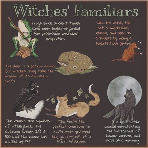 Mysticwitchofthemoon On Instagram “some More Common Familiars🐈 Credit