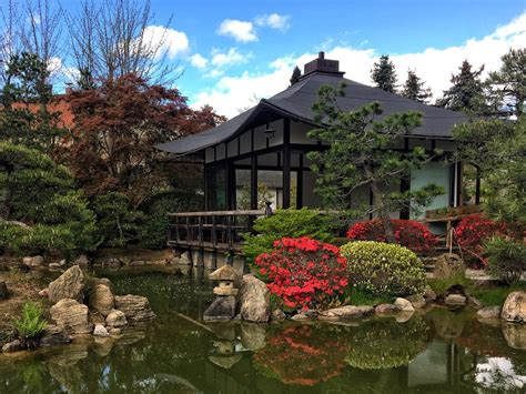 Ein Hauch Von Japan Im Bonsaigarten In Ferch Ein Zweiter Blick