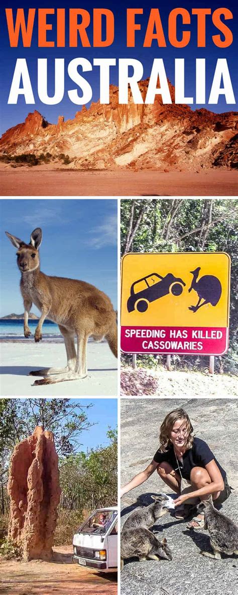 20 Interesting Facts About Australia That Will Wow You