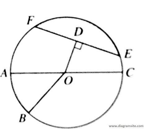 Element Of Circle Diagram 101 Diagrams