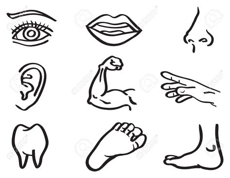 Clipart Body Parts Black And White Free Cliparts Download Images On Clipground