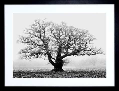 Top 15 Of Black And White Framed Art Prints