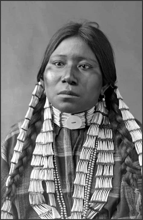 The Great Chief Gall S Granddaughter Or Niece Hunkpapa Sioux Photographed By David F Ba