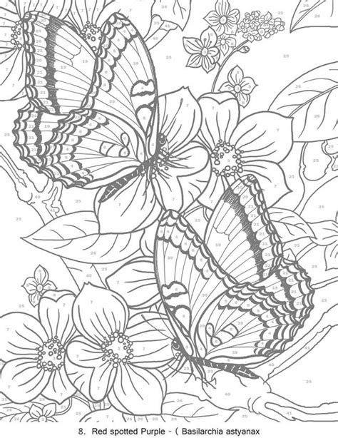 Welcome To Dover Publications Butterfly Coloring Page Coloring Pages