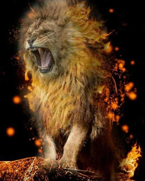Pin By Kristi Lehman On Roar Lion Of Judah Judah And The Lion Wild Cats