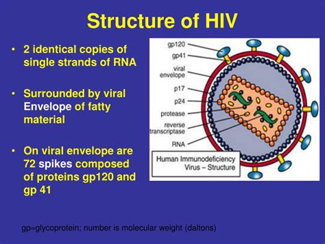 Ppt Introduction To Hiv Virus Powerpoint Presentation Free Download