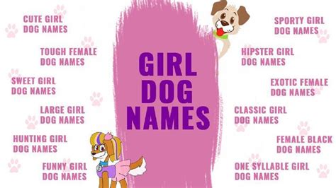 Girl Dog Names Top Female Dog Names With Vibrant Meanings Petmoo