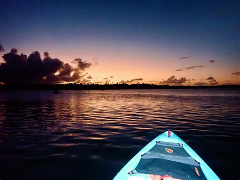 Best Time To Visit Fajardo Bioluminescent Bay In Puerto Rico Kpr