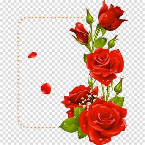 Rose Wallpaper Flower Design Gambar Bunga