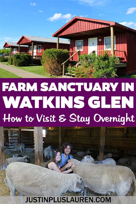 Farm Sanctuary Watkins Glen Ny How To Take A Tour Or Stay Overnight