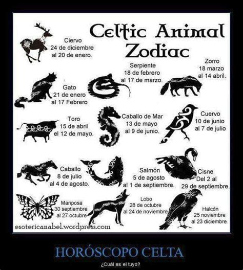 ¿qué Animal Eres Según Tu Signo Del Zodiaco