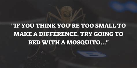 If you think you are too small to make a difference, try sleeping with a mosquito. Inspirational Mosquito Quotes & Sayings (Hand-Picked Proverbs)