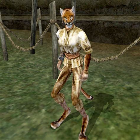 if you could be a different khajiit furstock which would you be page 2 — elder scrolls online