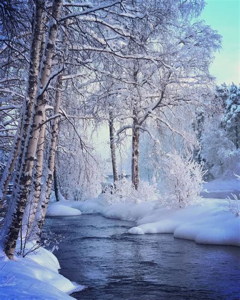 Kuhmo Finland Christmas Scenery Winter Scenery Beautiful Landscapes