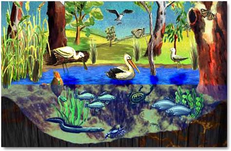 The primary factor that distinguishes wetlands from other land forms or water bodies is the characteristic vegetation of aquatic plants, adapted to the unique hydric soil. Ecosystem | Plants