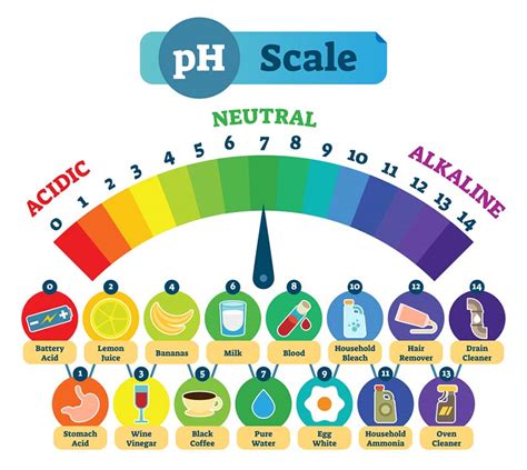 Ph Scale Foods