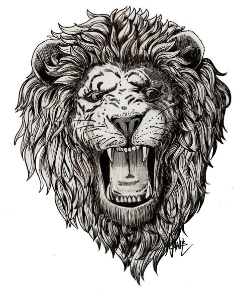 Lion Roar Lion Coloring Pages Lion Illustration Lion Sketch