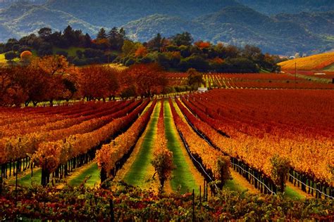 These Are The Best And More Interesting Wine Tours In Napa Valley