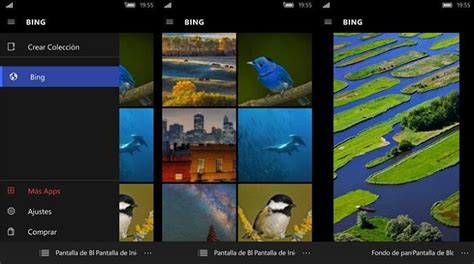 Free Download Brilli Automatic Wallpaper Changer App For Windows 10