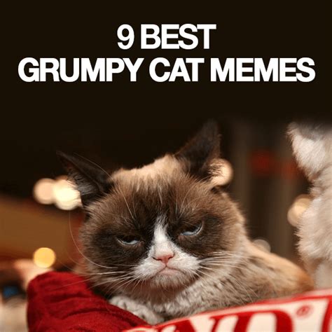 Quality bongo cat memes for 20 minutes.disclaimer: 9-Best-Grumpy-Cat-Memes