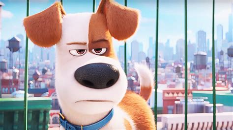 The Secret Life Of Pets Review Ign