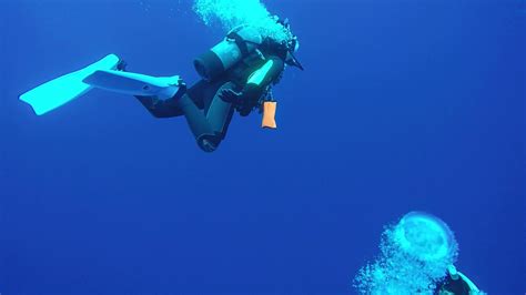 Yonaguni Diving Youtube