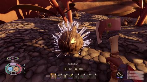 Where To Find Spiky Bur In Grounded Spiky Bur Location YouTube