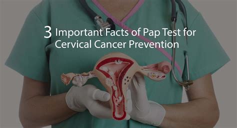 3 Important Facts Of Pap Test For Cervical Cancer Prevention