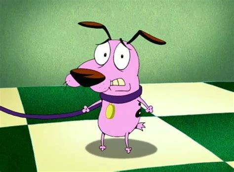 Courage The Cowardly Dog Show In 2023 Dog Show Courage Dogs