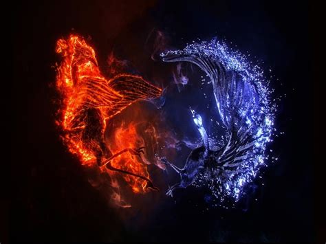 Fire And Ice Dragon Wallpapers Wallpaper Cave
