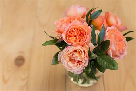 Peach Bouquet Of David Austin Roses High Quality Nature Stock Photos