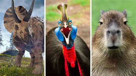 5 Incredible Animals In Guinness World Records New Book Wild Things