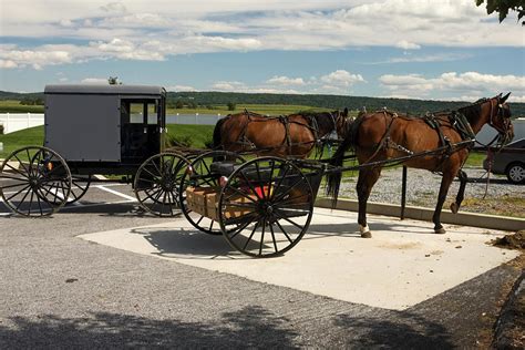 Amish Buggy And Cart Photograph By Sally Weigand Fine Art America