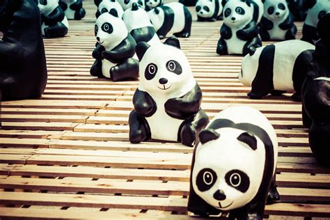 Panda Tour In Taipei At Cks Memorial Hall These Photos Flickr