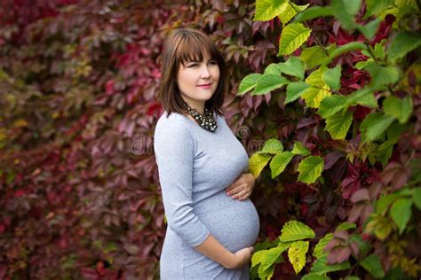 Attractive Pregnant Woman Posing Over Autumn Park Stock Image Image Of Lifestyle Happy 126765965