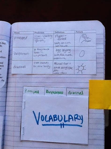 Teaching Science With Lynda Vocabulary For Interactive Notebooks