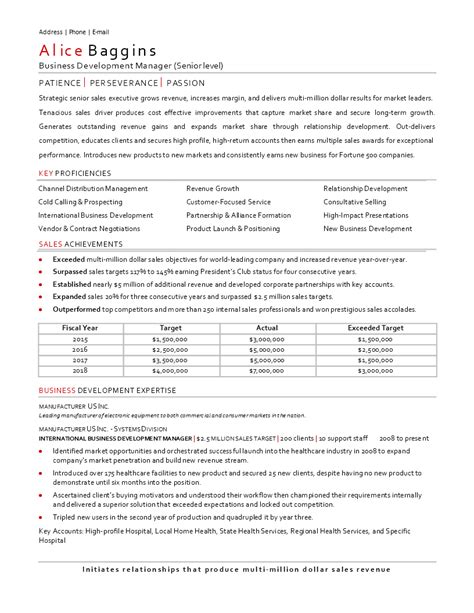 免费 Senior Business Development Manager Cv Template 样本文件在