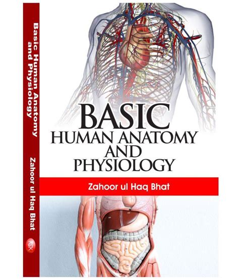 Drab Anatomy And Physiology Of Human Free Vector