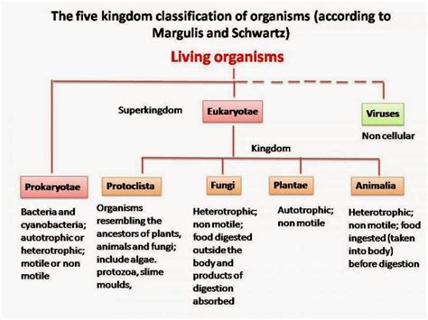 Classification Of Living Organisms Cheat Sheet By Davidpol Download